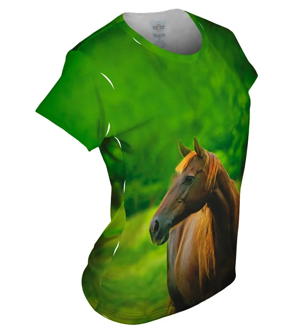 Decisive Horse