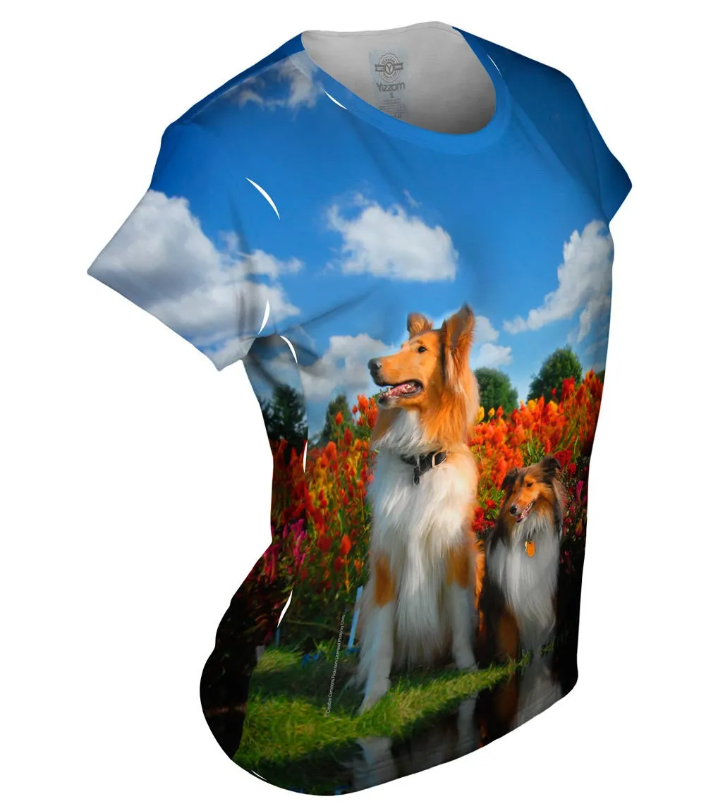 Furry Collie